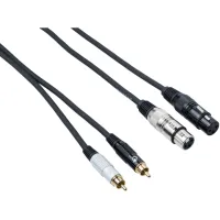 Bespeco EAY2F2R300 3 m Audio Cable