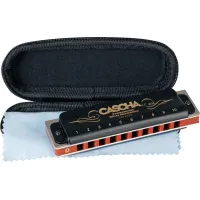 Cascha HH 2159 Professional Blues D Diatonic Harmonica