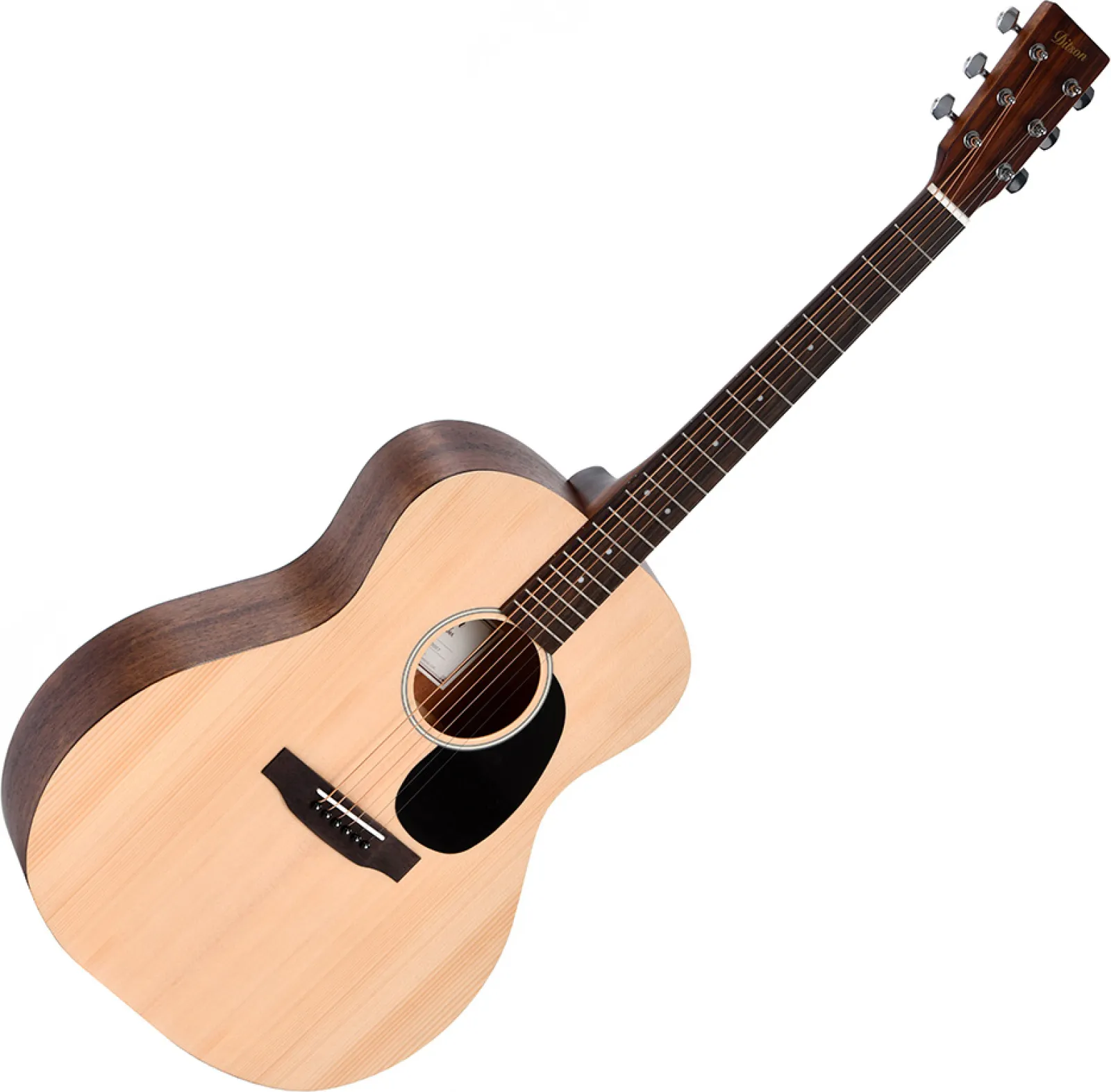 Ditson G-10 Acoustic Guitar