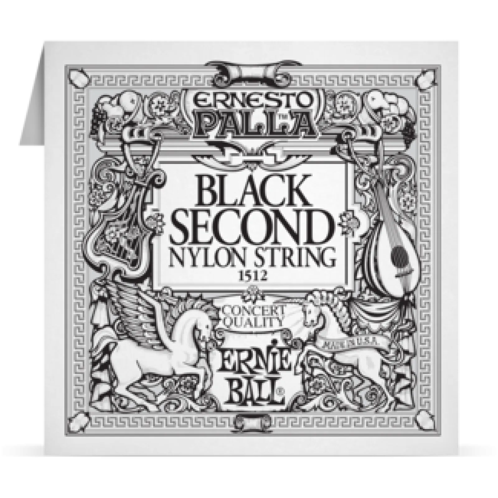 Ernie Ball Classical Strings Black B2