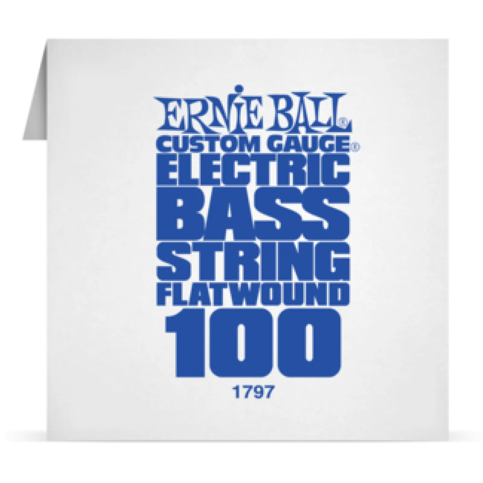 Ernie Ball Single FlatWound Bass 100