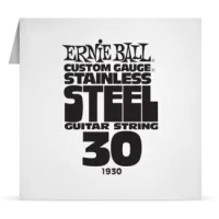 Ernie Ball Single Stainless 030