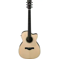 Ibanez ACFS580CE-OPS Electro-Acoustic Guitar