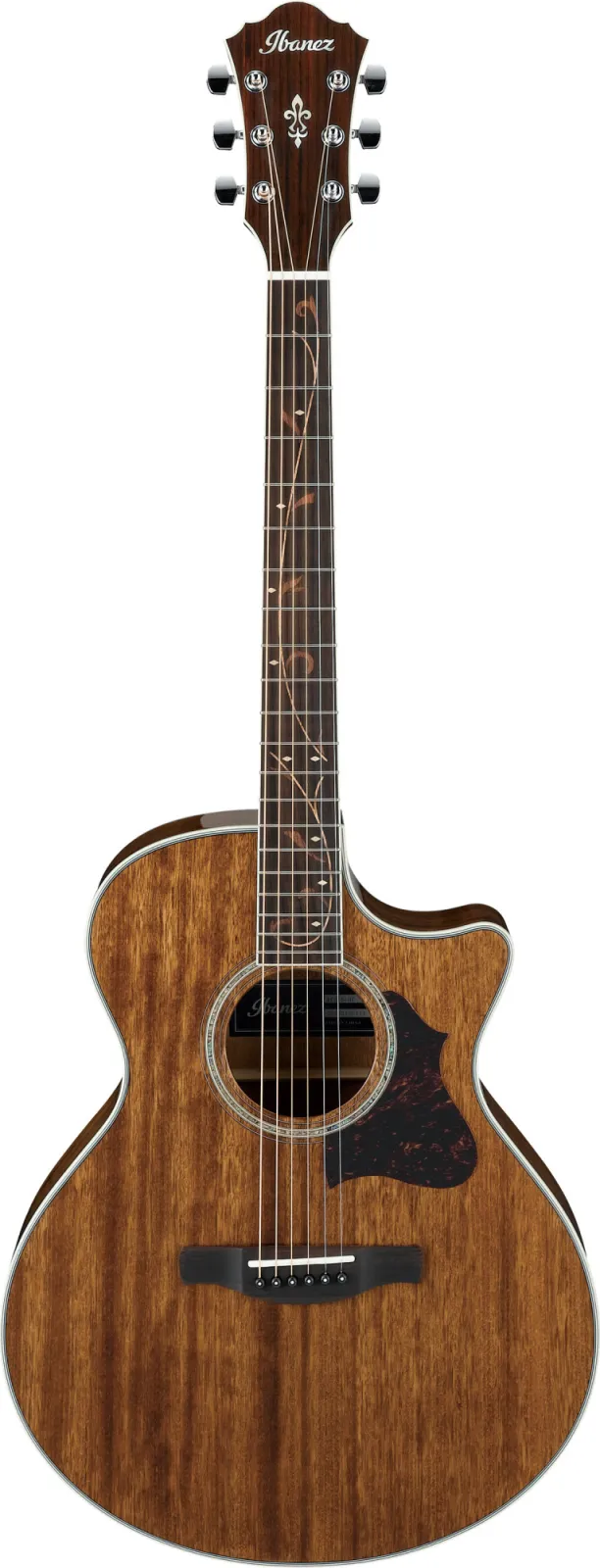 Ibanez AE245-NT electro-acoustic guitar