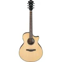 Ibanez AE410-LGS Electro-Acoustic Guitar