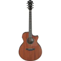 Ibanez AE440-LGS Electro-Acoustic Guitar