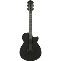 Ibanez AEG1221-BOT 12-string Electro-Acoustic Guitar
