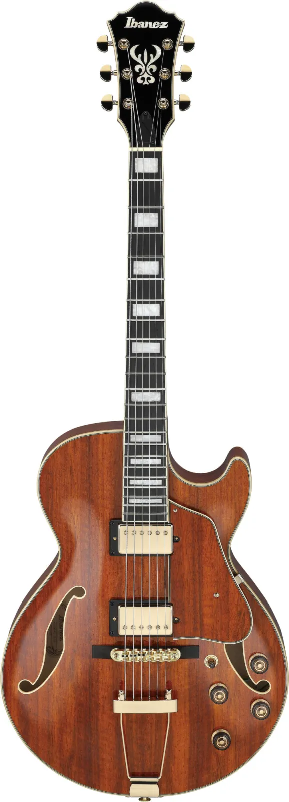 Ibanez AG95K-NT
