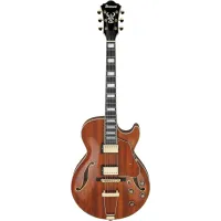 Ibanez AG95K-NT