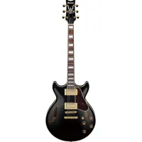 Ibanez AM73G-BK hollow body electric guitar