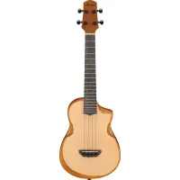 Ibanez AUT10-OPN Acoustic Guitar