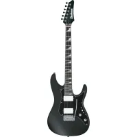 Ibanez BER10 Electric Guitar
