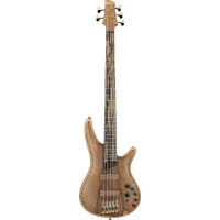 Ibanez IV1SR 5-string Bass Guitar