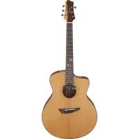 Ibanez JGM11 Electro-Acoustic Guitar