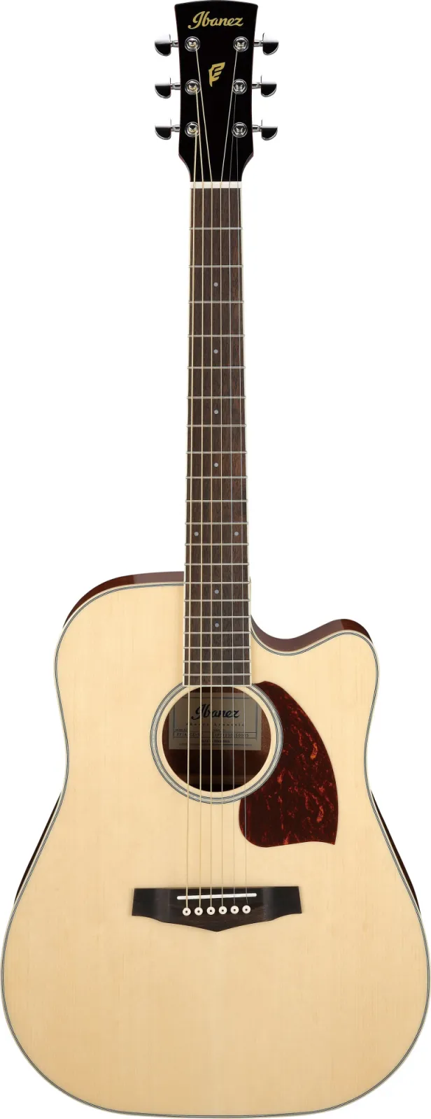 Ibanez PF16WCE-NT Electro-Acoustic Guitar