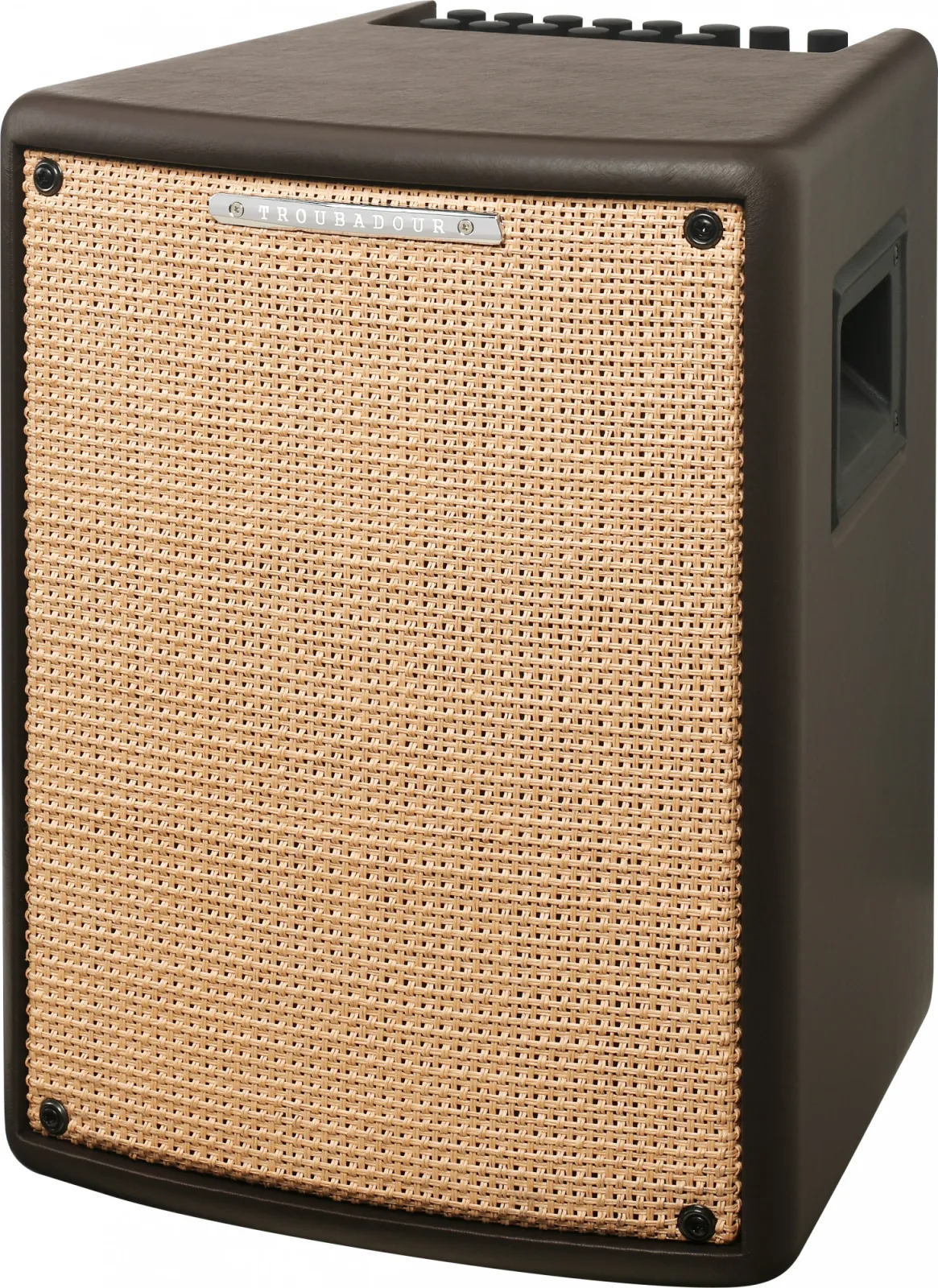 Ibanez T80II Troubadour Acoustic Amplifier - 80 Watt