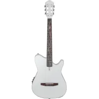 Ibanez TOD10N-SMF Electro-Classical Guitar