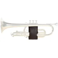 Levy'#pove#s Leather Valve Guards Cornet