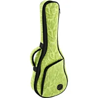 Ortega OUB-TE-GRJ tenor ukulele case