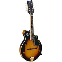 Ortega RMFE90TS mandolin