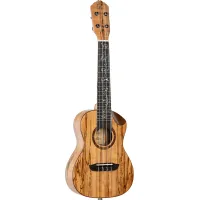 Ortega RUET-SMA koncert ukulele