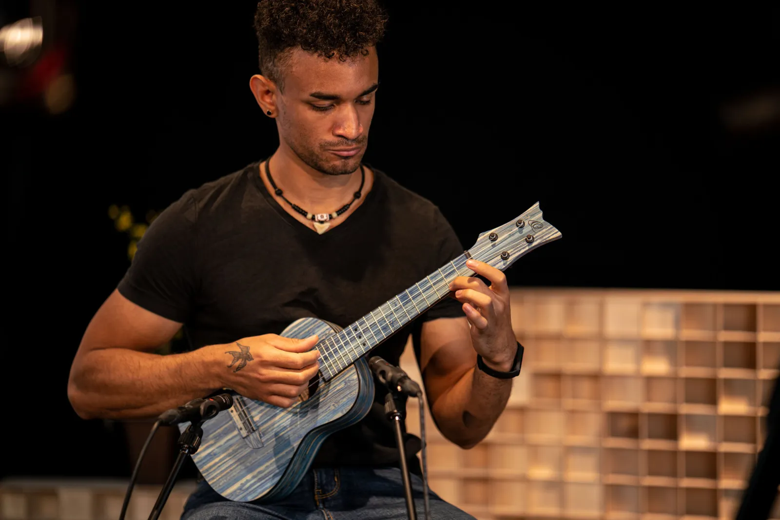 Ortega RUSWB-CC concert ukulele
