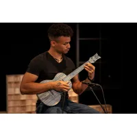 Ortega RUSWB-TE tenor ukulele