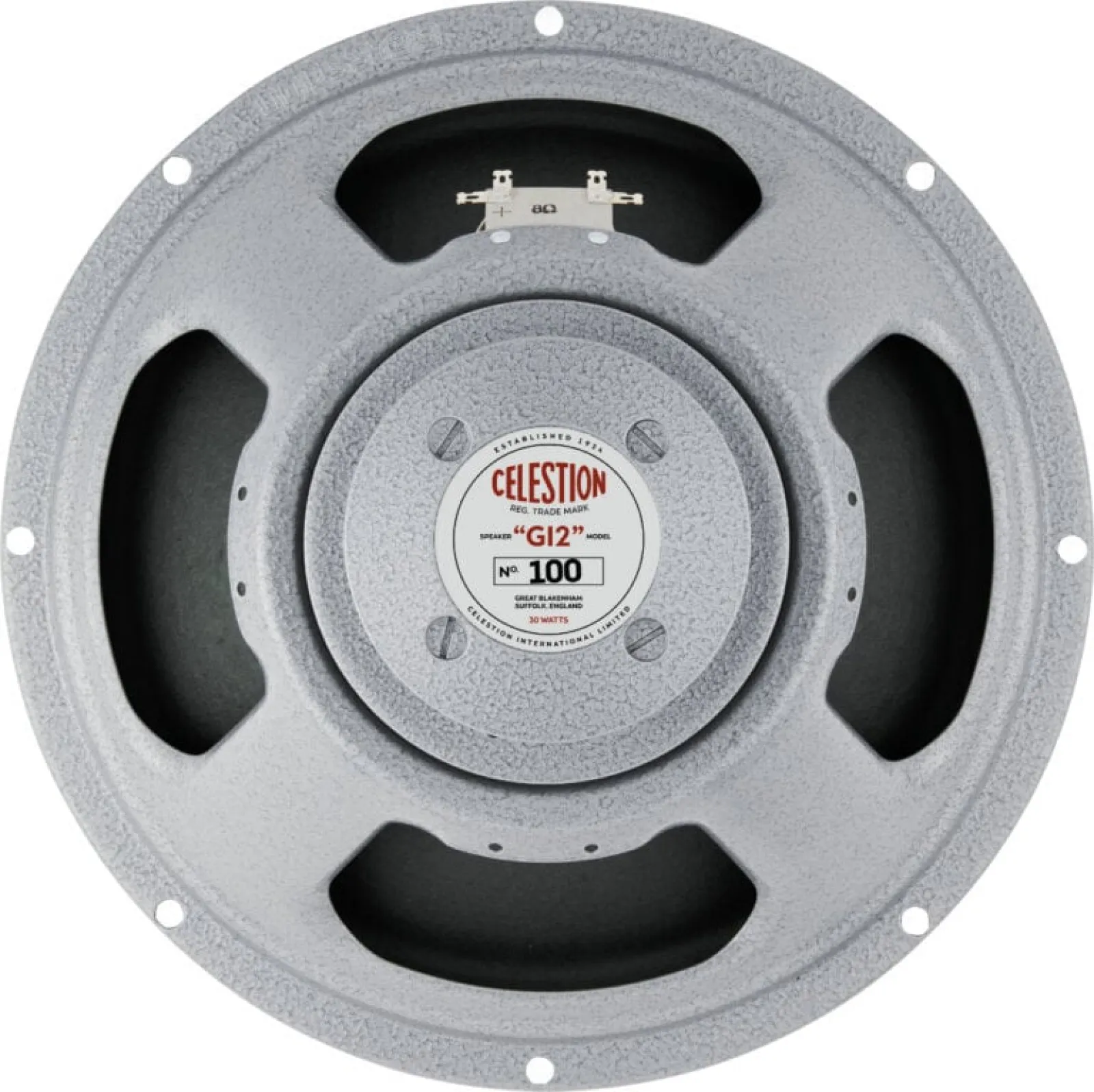 Celestion 100 Guitar/Bass Speaker