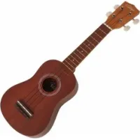 vintage VUK20N ukulele set